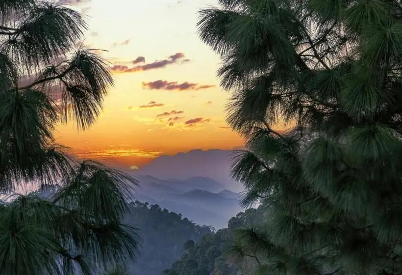Hotelli Splendid Retreat Homestay Kasauli