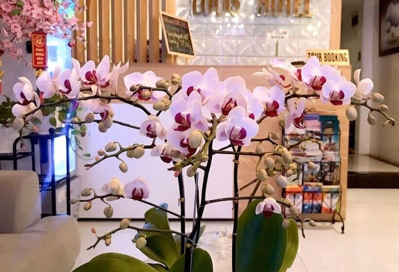 تختخواب و صبحانه Louis Hotel   Bui Vien Walking Street