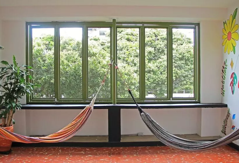 Zamia Hostel
