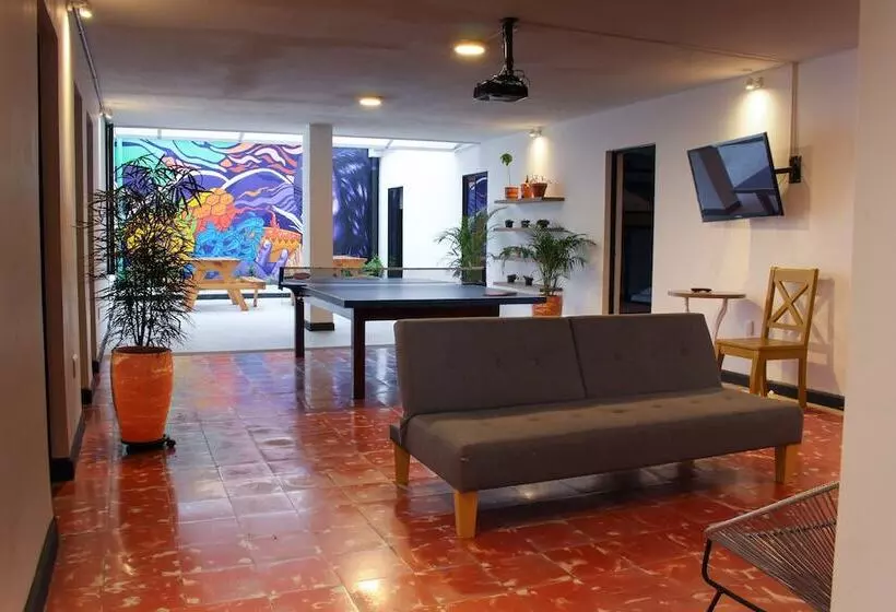 Zamia Hostel
