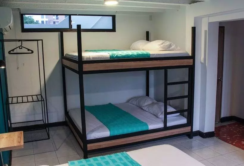 Zamia Hostel