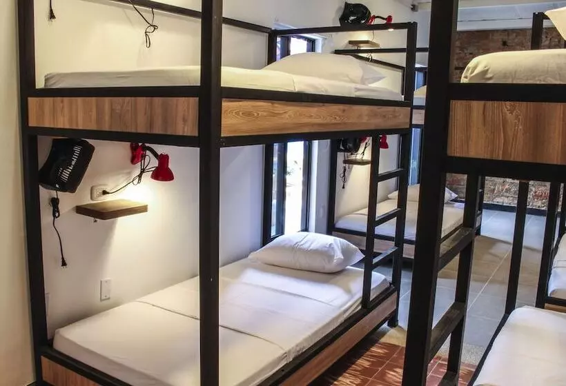 Zamia Hostel