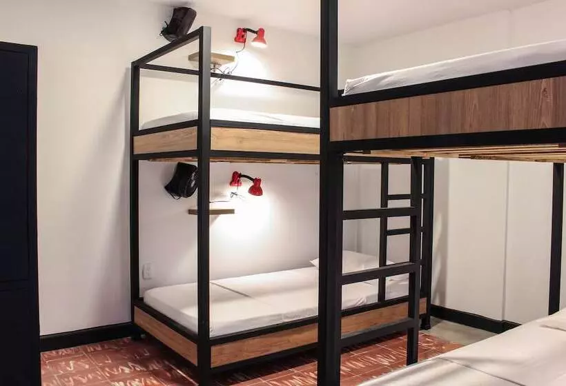 Zamia Hostel