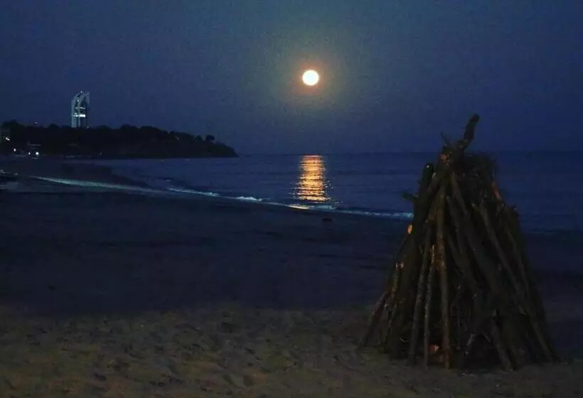 Aamiaismajoitus (B&B) Nico S Beach Panama