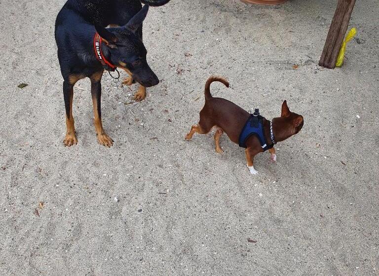 مبيت وإفطار Nico S Beach Panama