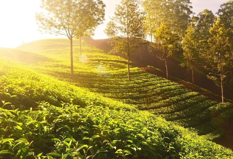 בית מלון כפרי Courtyard By Marriott Siliguri