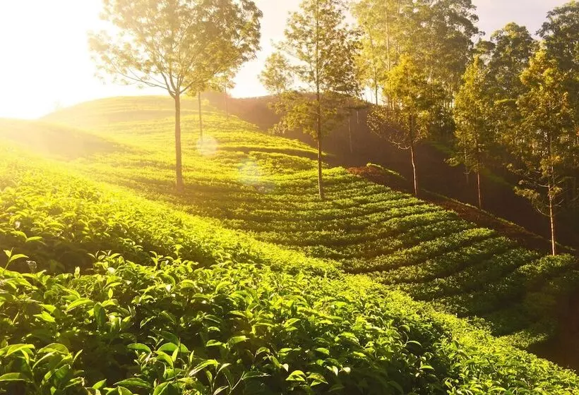 ホテル Courtyard By Marriott Siliguri