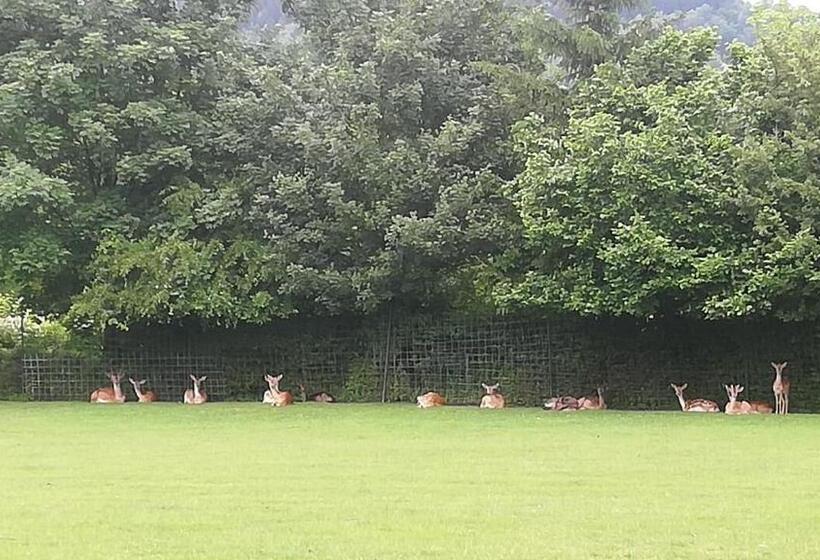 Ferienappartements Grolik Im Aparthotel Zum Gutshof