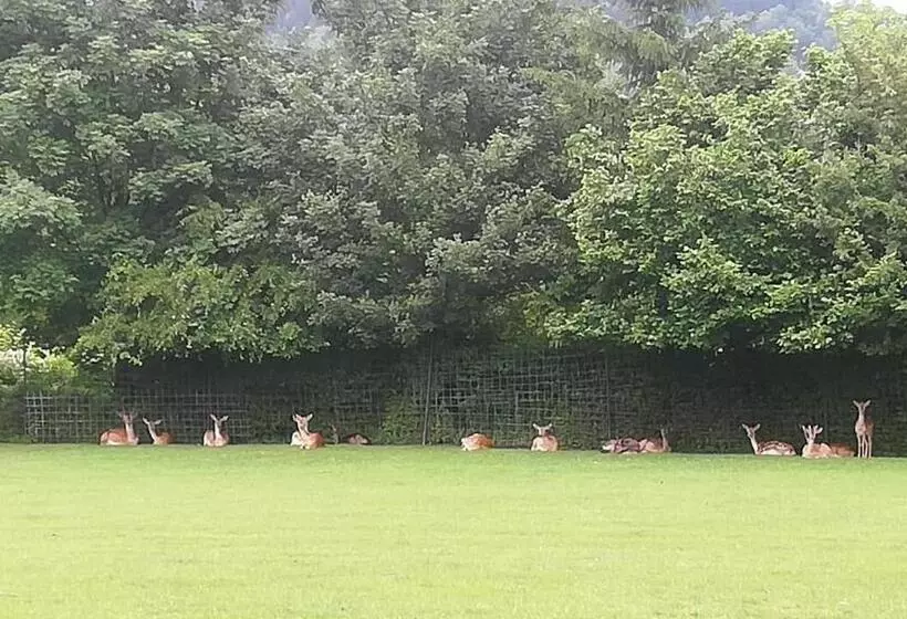 Ferienappartements Grolik Im Aparthotel Zum Gutshof