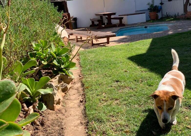 Bed and Breakfast Cycads On Sea Guest House