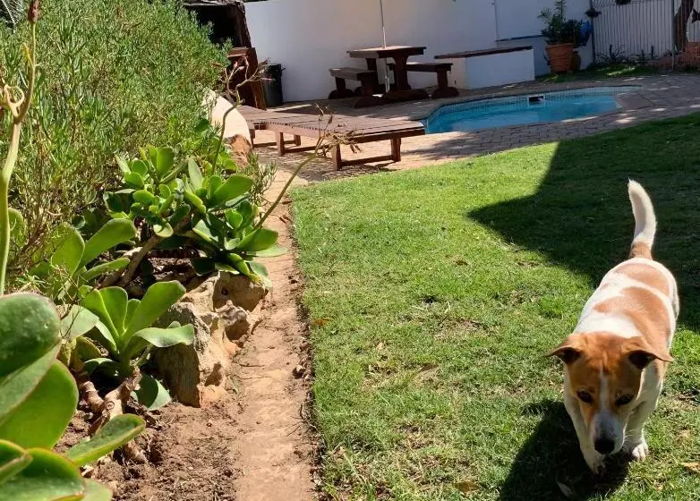 Aamiaismajoitus (B&B) Cycads On Sea Guest House