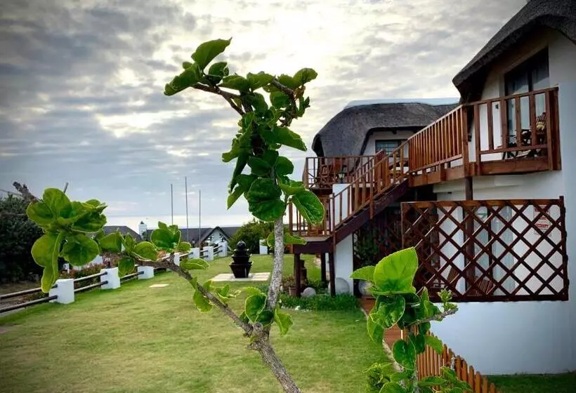 Aamiaismajoitus (B&B) Cycads On Sea Guest House