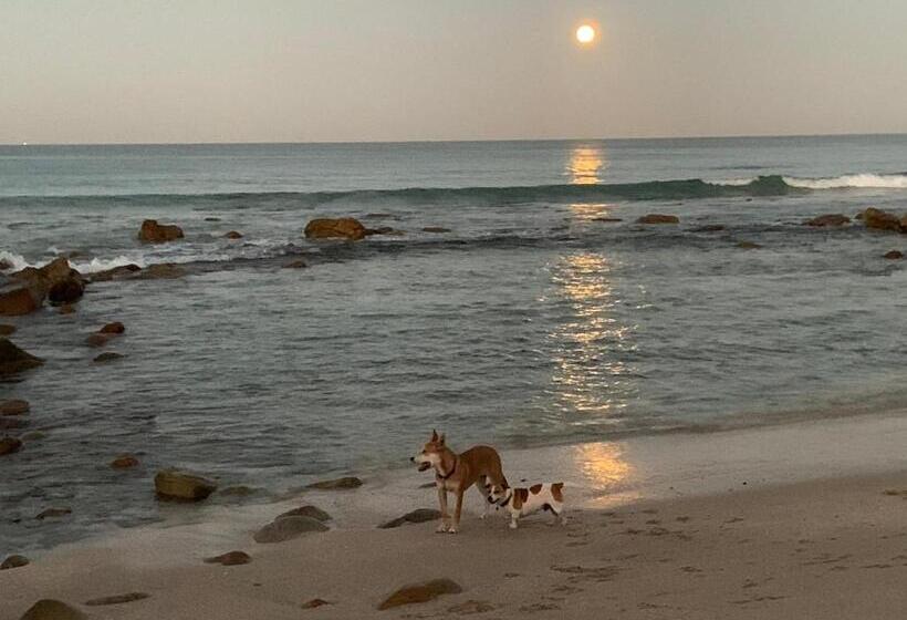 ベッドアンドブレックファースト Cycads On Sea Guest House