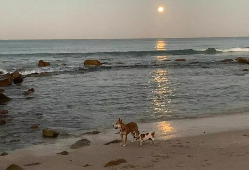 Aamiaismajoitus (B&B) Cycads On Sea Guest House