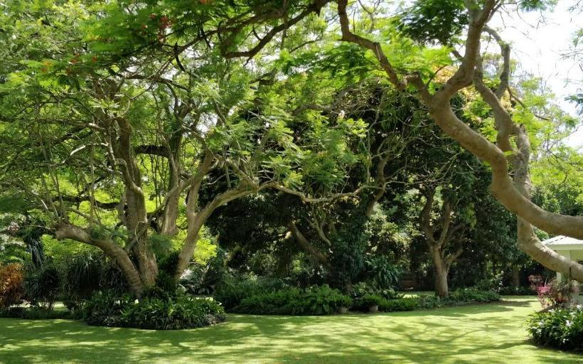 مبيت وإفطار Mtuba Manor Guest House