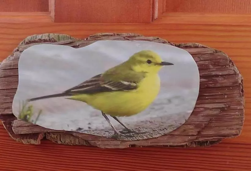 Aamiaismajoitus (B&B) Wagtail Lodge
