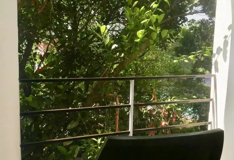 ペンション Angelo S Place