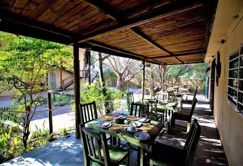 تختخواب و صبحانه The Waterfront, Maun