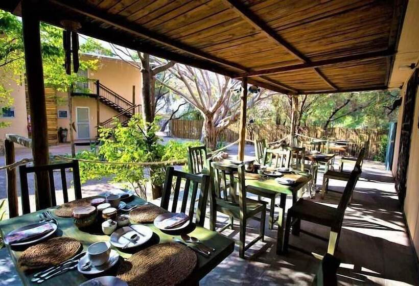 تختخواب و صبحانه The Waterfront, Maun