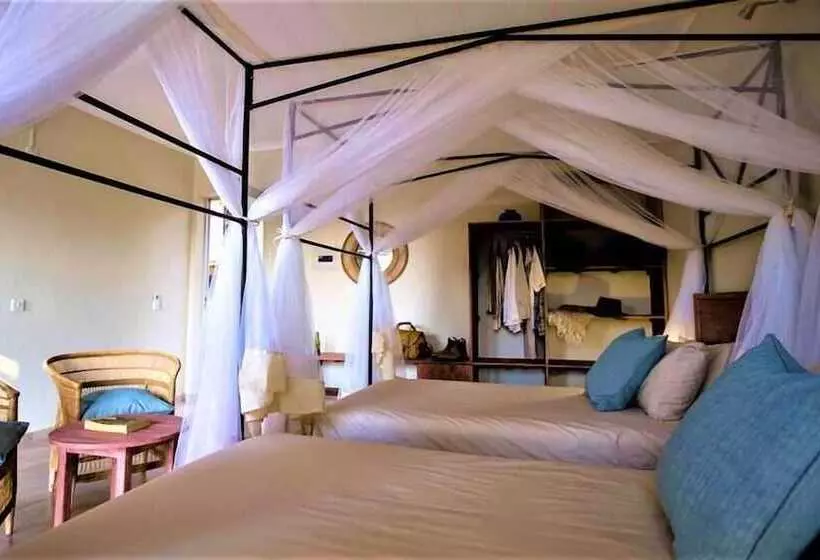 تختخواب و صبحانه The Waterfront, Maun