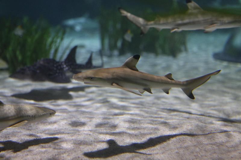 Отель Holiday Inn Express Oberhausen, An Ihg