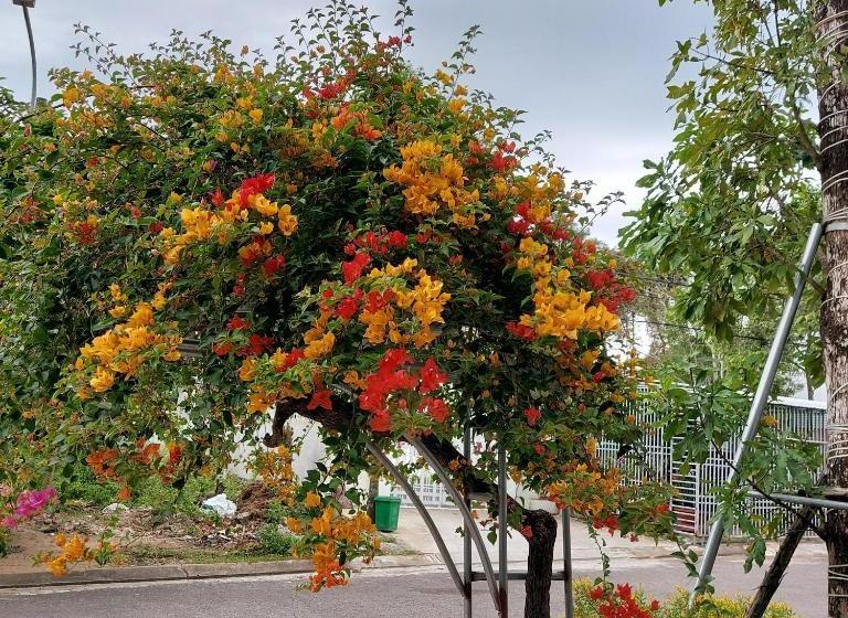 هتل Seaside Village Phu Quoc