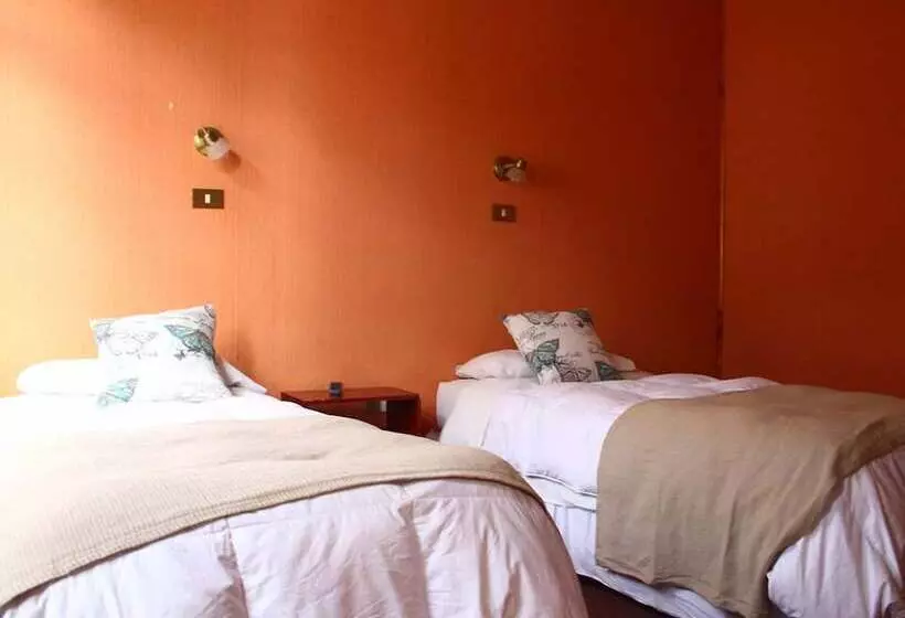 هاستل Hostal Ayelen