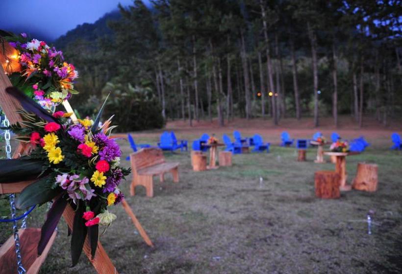 ベッドアンドブレックファースト Campestre