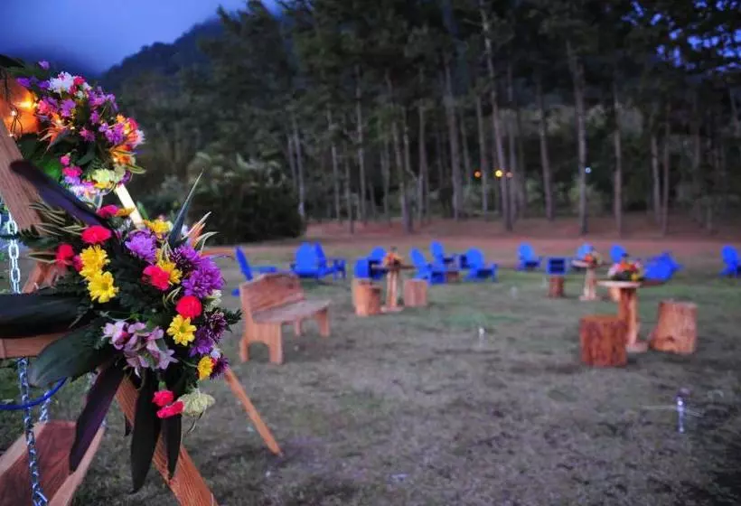 Aamiaismajoitus (B&B) Campestre