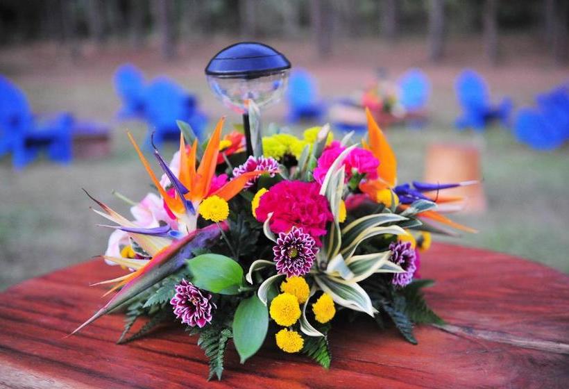 ベッドアンドブレックファースト Campestre