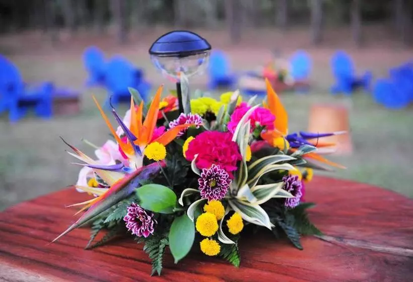 Aamiaismajoitus (B&B) Campestre