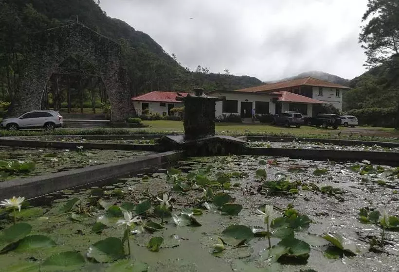 Aamiaismajoitus (B&B) Campestre