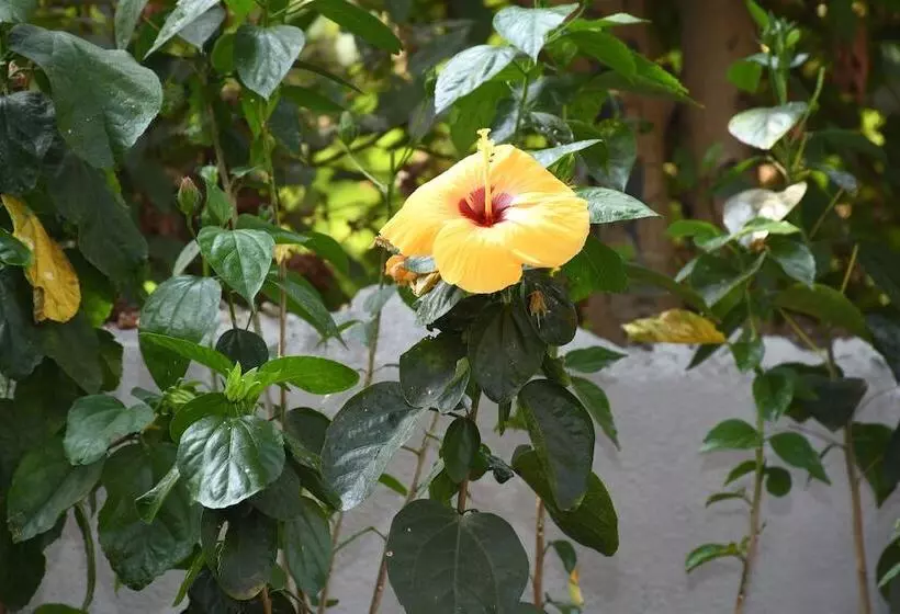 Hotelli Sea Princess Beach Resort