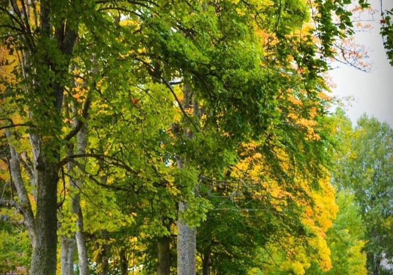 The Speyside Hotel And Restaurant