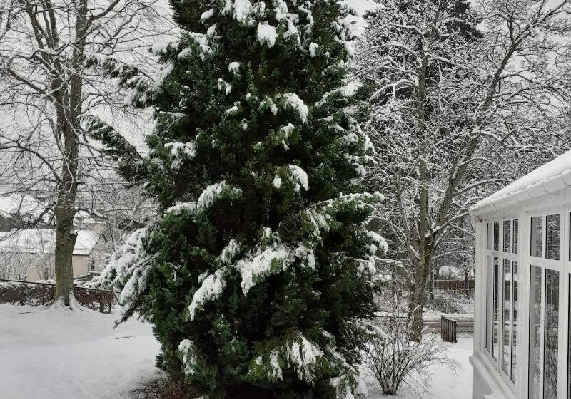 The Speyside Hotel And Restaurant