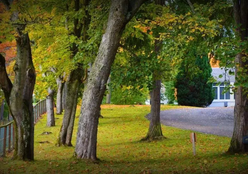 The Speyside Hotel And Restaurant