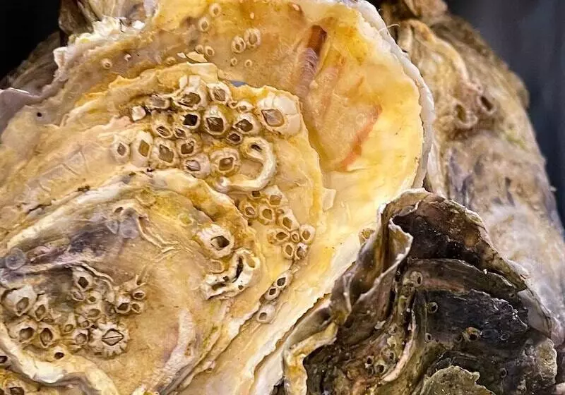 The Speyside Hotel And Restaurant