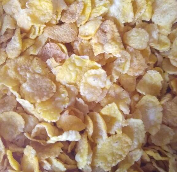 Black Sheep International Hostel