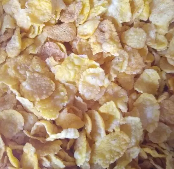 Black Sheep International Hostel