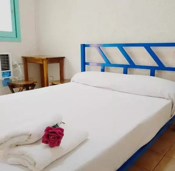 Black Sheep International Hostel