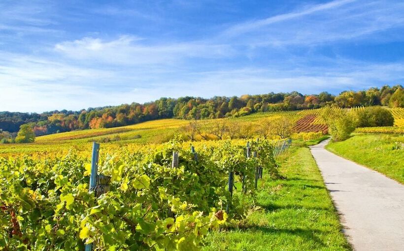 Amelie No 1 Hotel & Appartements