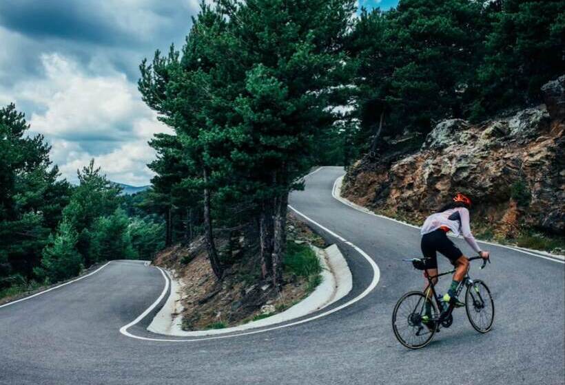 Mountain Hostel Tarter