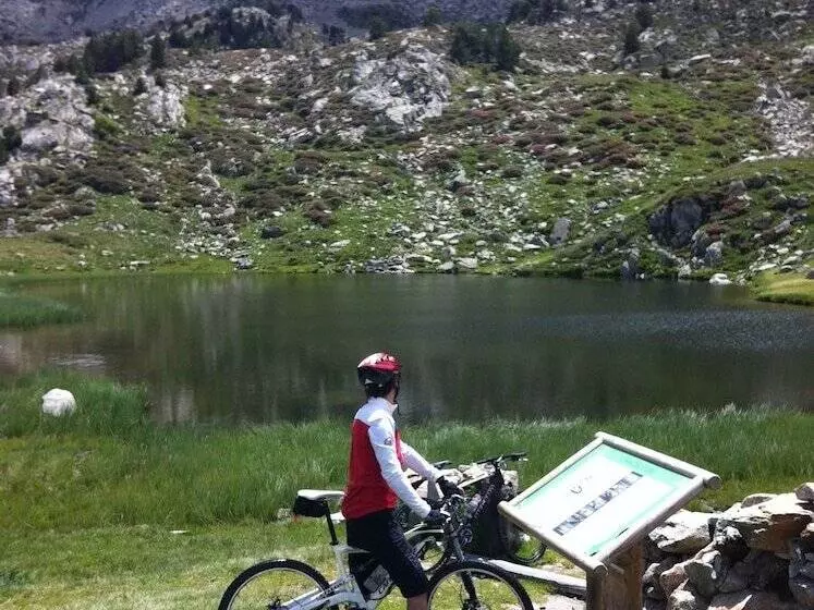 Mountain Hostel Tarter