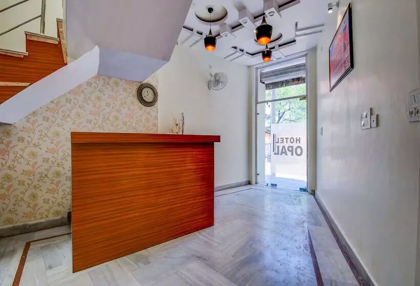 Oyo 22942 Hotel Opal