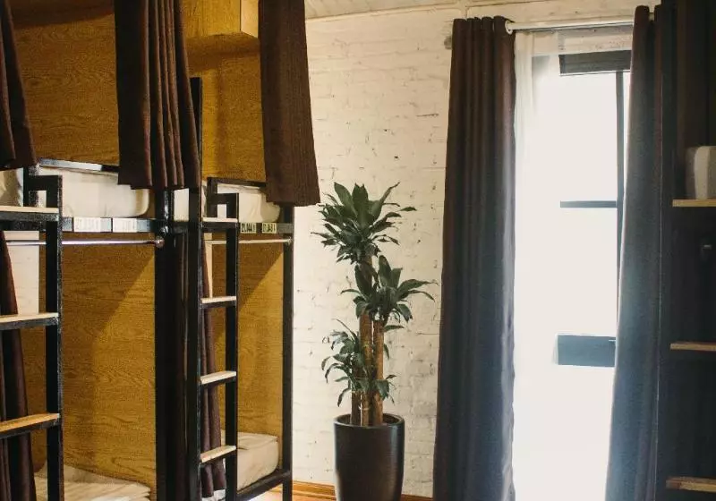 هاستل Aroma Halong