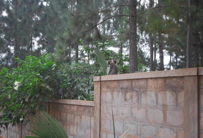 هتل Saltek Forest Cottages