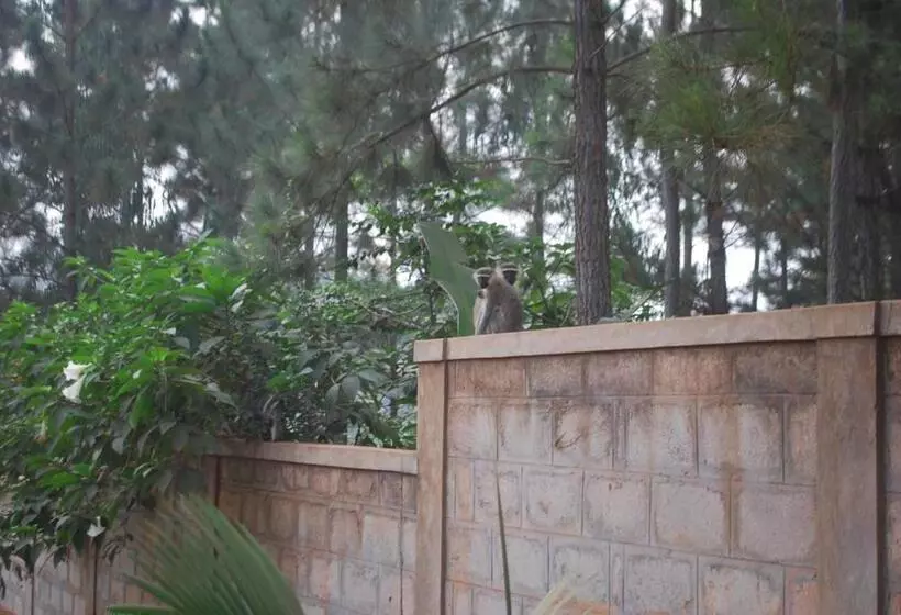 هتل Saltek Forest Cottages