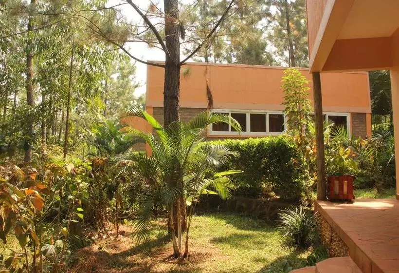 هتل Saltek Forest Cottages