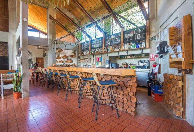 فندق Selina Monteverde