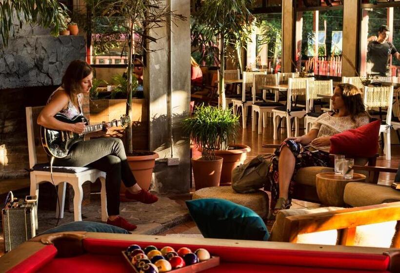 فندق Selina Monteverde